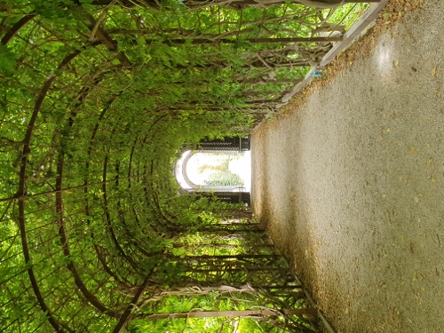 Wien 2021 - Schloß Schönbrunn