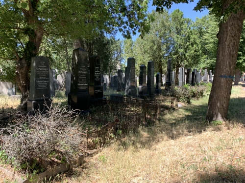 Wien 2021 - Zentralfriedhof