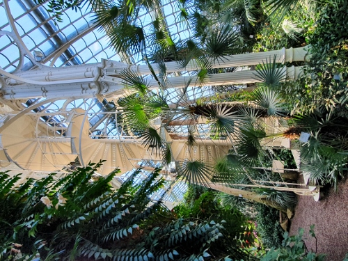 Schloß Schönbrunn - Palmenhaus