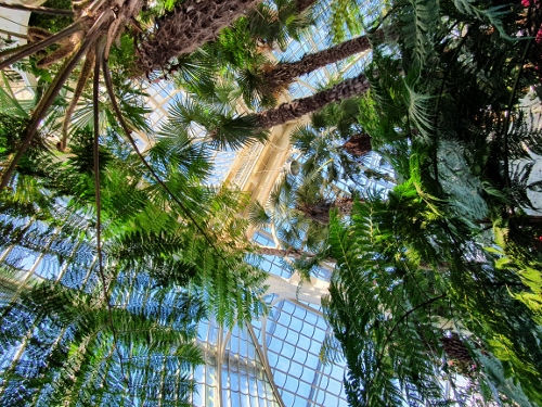 Schloß Schönbrunn - Palmenhaus