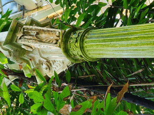 Schloß Schönbrunn - Palmenhaus