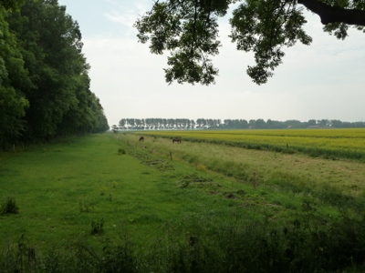 P1050254