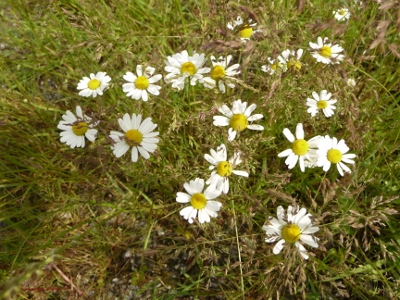 P1050255