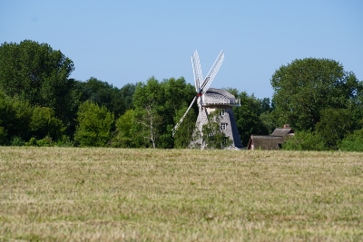 DSC06151